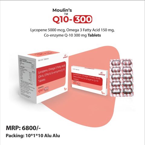 MOULIN'S Q10-300 TAB 10*1*10