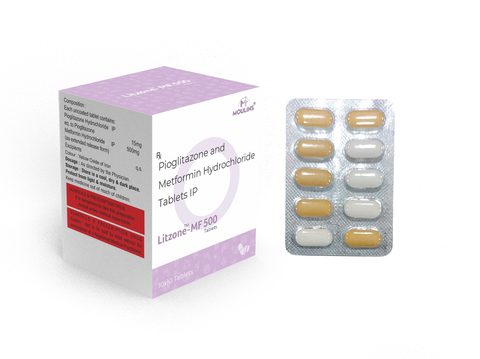 LITZONE-MF 500 TAB 10*10